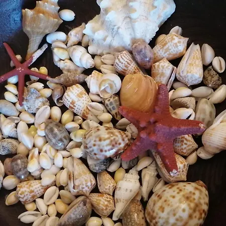 빌라 Costa Dei Monaci - Tropea 파르겔리아