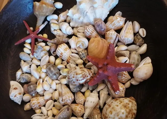 Villa Costa Dei Monaci - Tropea Parghelia